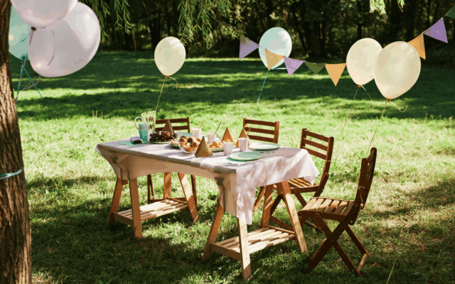 Birthday Party in Boise